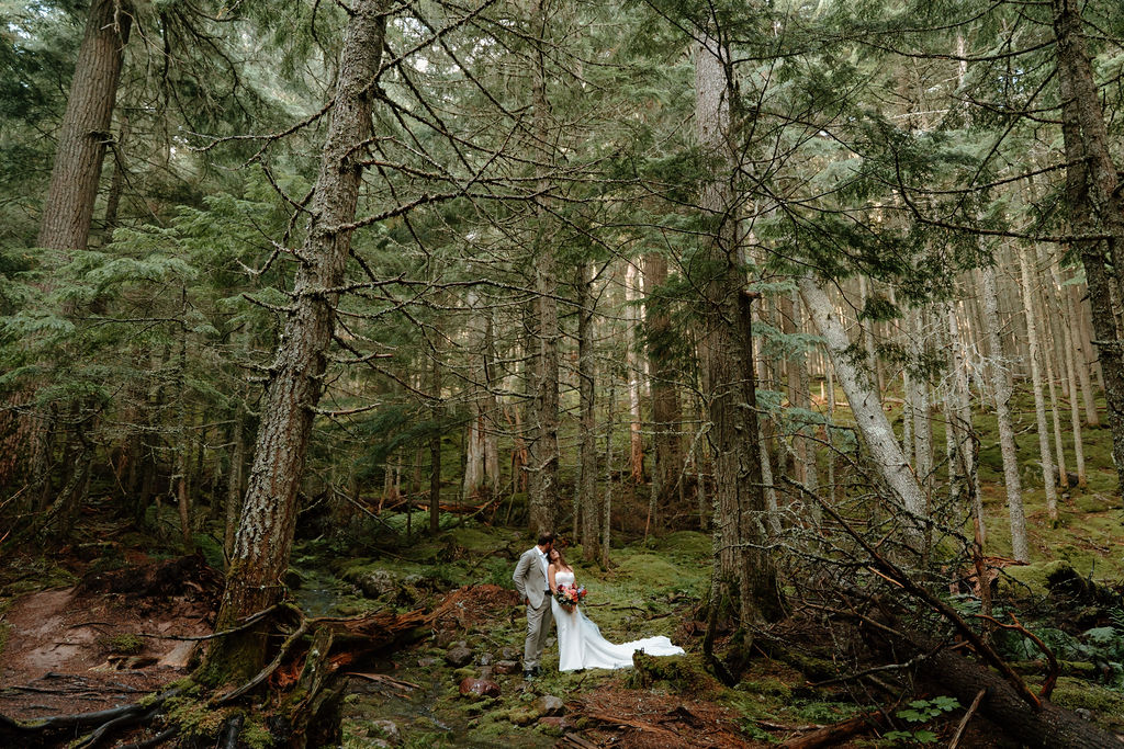 Magical forest elopement in Glacier National Park