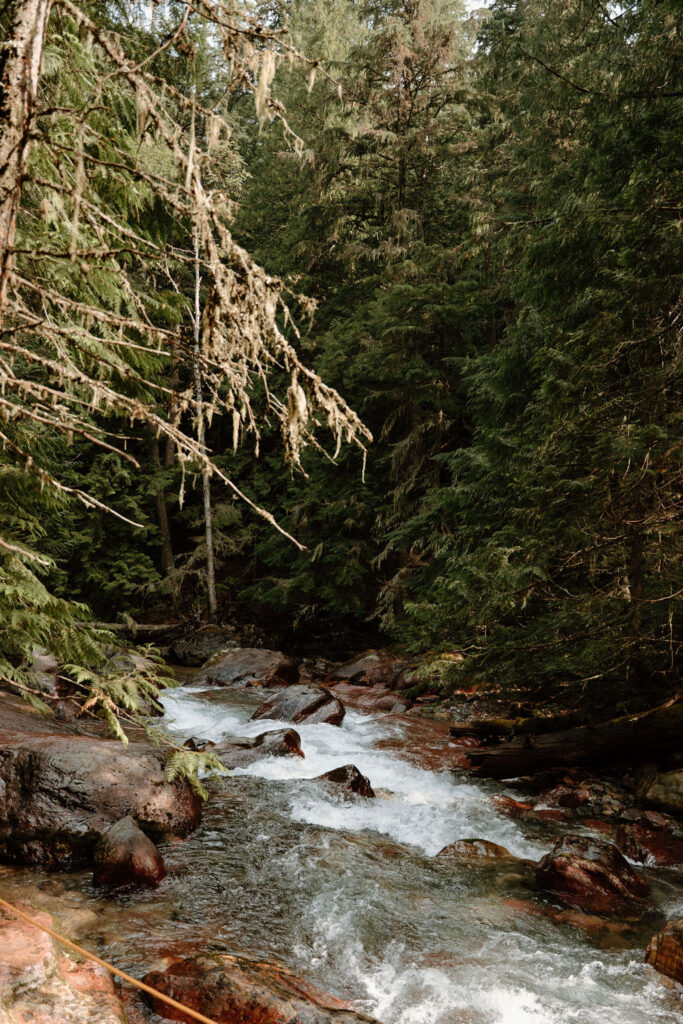 Hidden gems to see in Glacier National Park