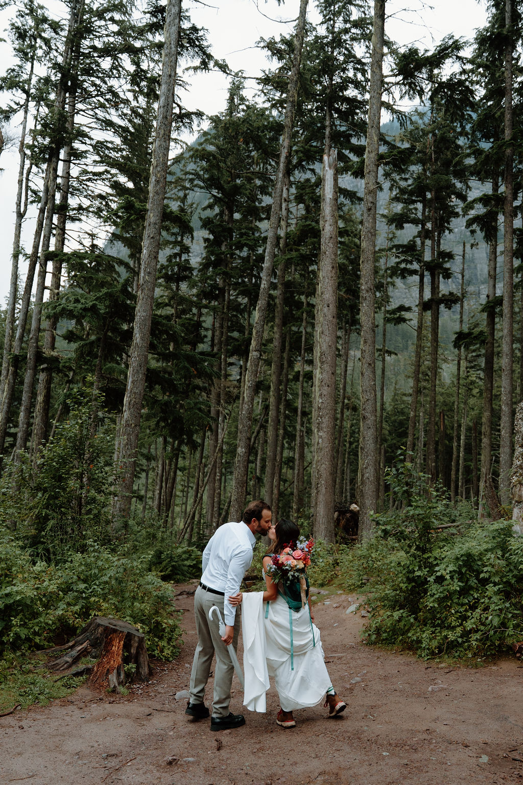 Glacier National Park Trail of Cedars